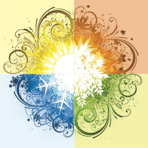 cropped logo sante eclairee naturopathe et micro nutrition.jpg