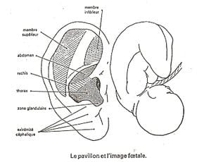 auriculothérapie arrêt du tabac sainte geneviève des bois béatrice toutain (2)