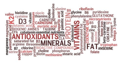 red meat nutrition information word cloud